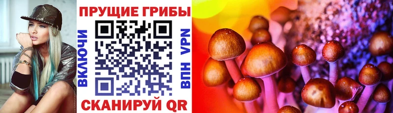 цена наркотик Липки это какой сайт Псилоцибиновые грибы Magic Shrooms