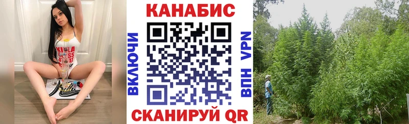 Конопля VHQ  Липки 